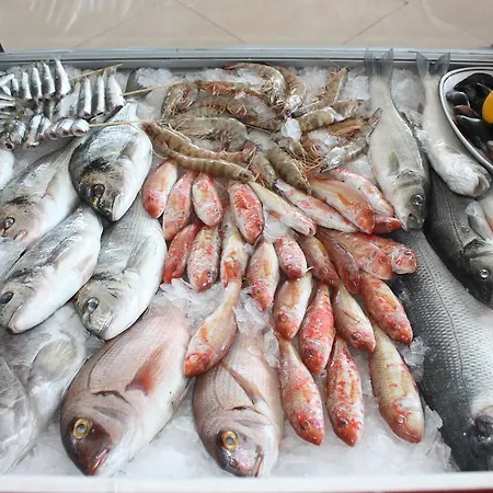 Boyalik Demirel & מלון